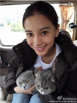 曝Baby退出跑男新一季名单确定 揭baby鹿?退