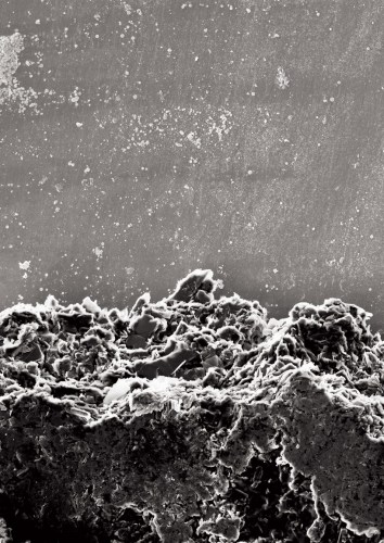 男子 吞下胶片 后再排出 意外  拍 到 奇幻 美景 (图