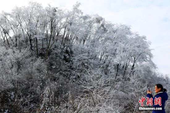 从成都到重庆旅游坐什么车(成都到重庆旅游攻略)(图1) 重庆酉阳大雪现北国风光