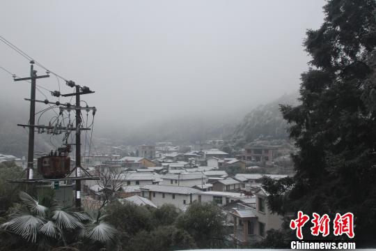 福建连城曲溪罗胜有多少人口
