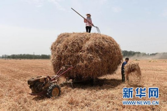 丰收为啥还进口——我国粮食供需结构出了啥问题？