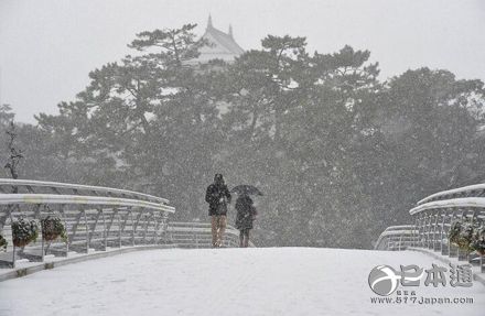 日本九州各地温度降至零下 长崎县积雪17厘米