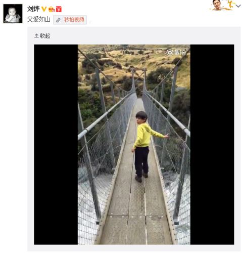 刘烨晒诺一淡定走索桥视频 后面跟拍手发抖声