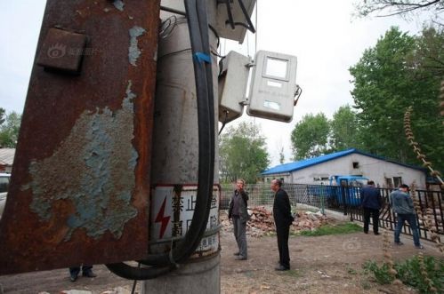  直升机降落吓死 两千只 鸡  揭秘动物界集体死亡