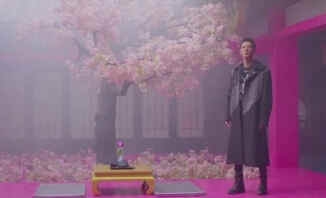 《 太子妃 》 男星 张鹏称遭前妻 家暴  发长文讲述