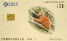 ꡱ绰ϵĺ