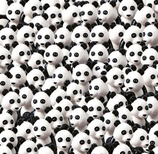 熊猫没找着?乐高公司发图邀网友熊猫里找狗