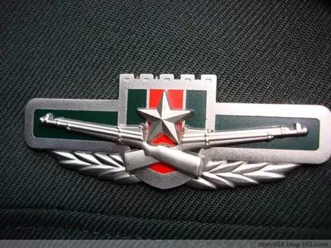我们先从陆军开始说起,在之前的军服胸标中陆军部队所配发的胸标正中