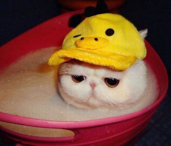 Ķ˵˲