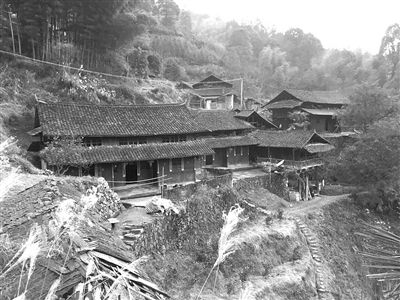 我家在湘西 往年爬山找信号 今年4G抢红包