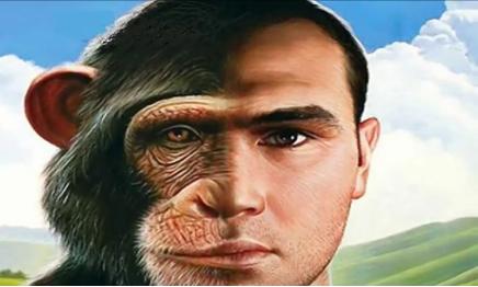 盘点人类史上最丧心病狂10大科学实验:人猿杂