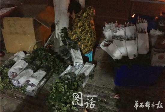 备战情人节 花店蓝色妖姬预售近30元一枝