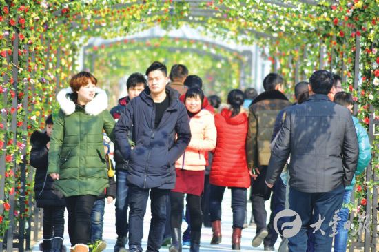 春节大丰景区销售收入734万元 同比增长226%