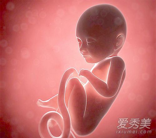 女人怀孕须知:胎儿性别什么时候能看出来?怀孕