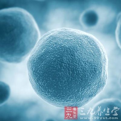 女人怀孕须知:屁股大好生养原来是有科学依据