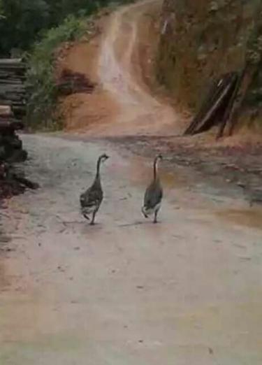 离前亲吻成网红 朋友圈刷屏多个版本大结局网