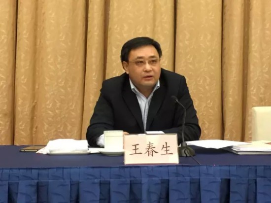 山东省旅游局王春生副巡视员讲话