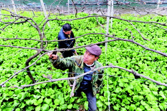 铜仁市碧江区龙江移民新村印象