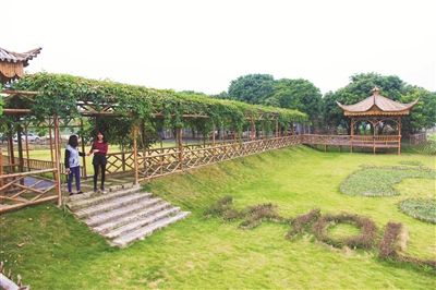 绿港园生态农场的体验区深受游客喜欢