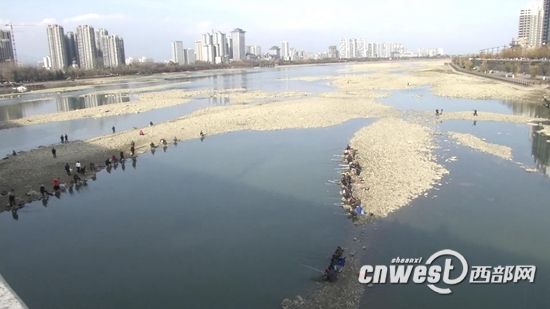 汉江汉中二号桥旁成 钓鱼场 禁钓提示牌遭无视