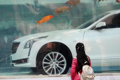 上海街头一豪车泡进巨型鱼缸 近百条锦鲤游来