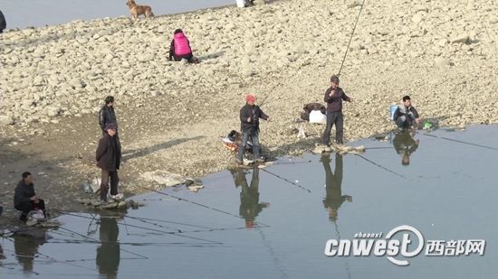 汉江汉中二号桥旁成 钓鱼场 禁钓提示牌遭无视