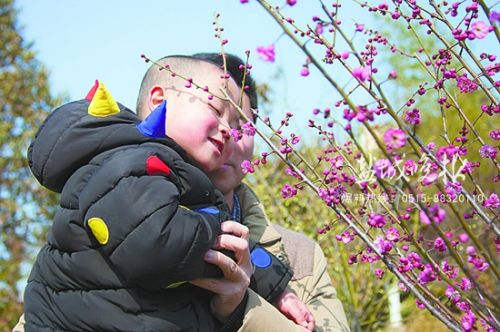 盐城不少公园花卉盛开 市民纷纷踏青欣赏美景