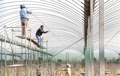 南通海门三厂20个合作社建设连栋大棚2000余