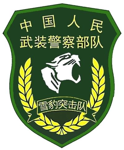 武警部队统一更换新式标志服饰 包括胸标、臂