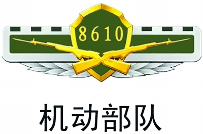 武警部队统一更换新式标志服饰 包括胸标、臂