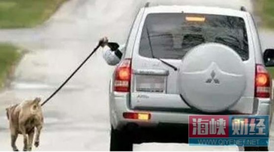  没车门小车上高速 大胆司机被罚 自知不安全开