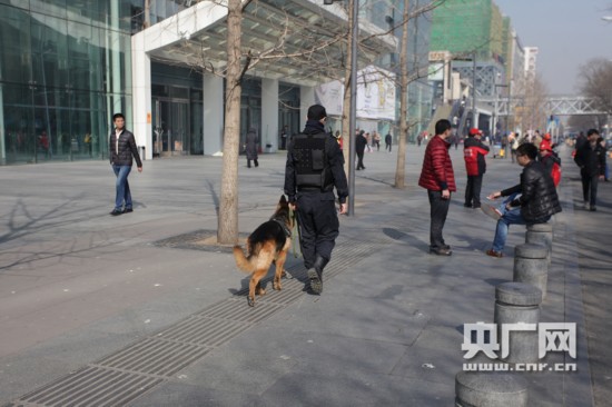 警犬豆豆的两会时间--安徽频道--人民网
