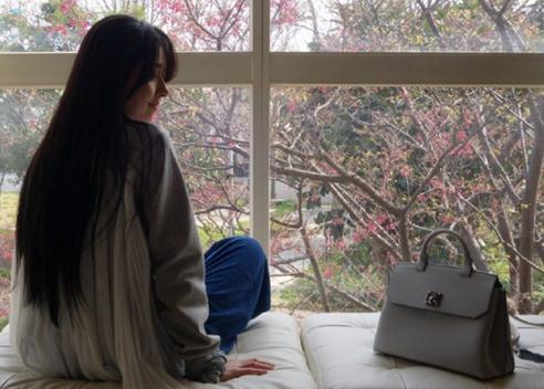  郭碧婷抱猫咪赏樱  长发及腰晒背影:我家樱花盛