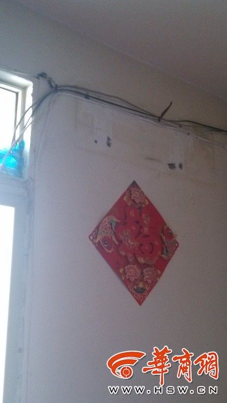 文昌门一大树枯死生小虫住户夏天不敢开窗