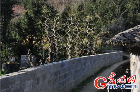 【新常態 光明論】美麗鄉村搭上城鎮化建設的快車