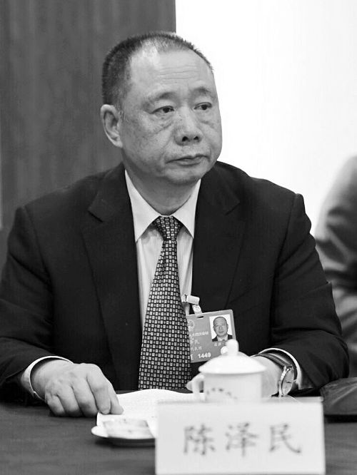 全国人大代表陈泽民:请国家支持郑州建设中心