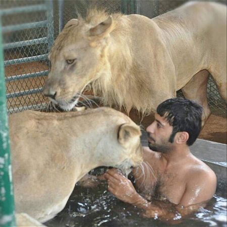 北京大妈街头遛猪成网红 狮子老虎北极熊…另