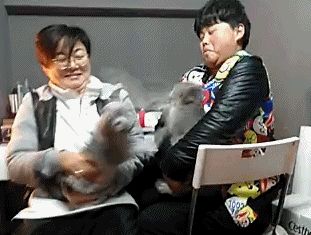 ��f�Ѱ�� �ԦaCP�쩳�֦Y�֪����I