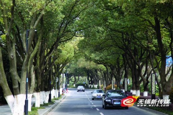 绿化城市排名_城市绿化