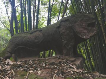 奇观！四川千年石龙将现身 张献忠千船沉银谜团待解