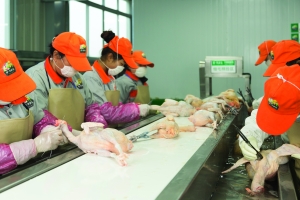 买卖人口宰杀_宰杀前注水每头猪增 肉 50斤