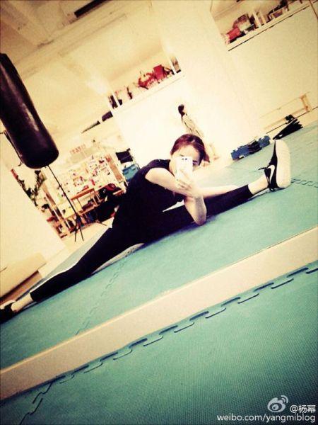  袁姗姗实力秀腰 惹网友嫉妒 盘点拥有A4腰的女