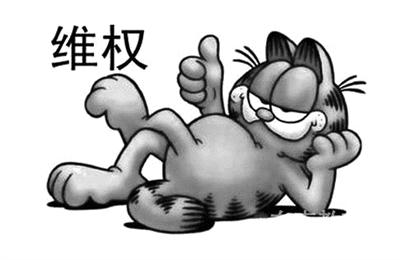 女子8000元网购加菲猫收到土猫 卖家涉诈骗被