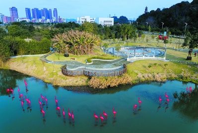 福州:春意浓浓花漫大学城 风景这边独好