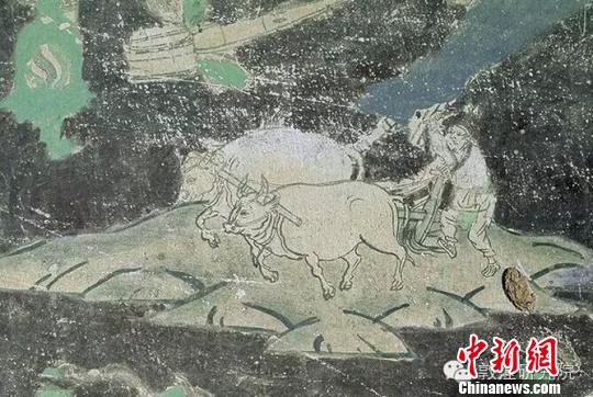 图为:《榆林窟第3窟-千手观音变之牛耕-西夏》。古代画工依据佛经中的内容,结合现实生活的需求,在壁画中描绘了耕地、播种、收割、运载、打场、扬场、粮食入仓等情景,形象非常生动,充满了人间气息。 崔琳 摄