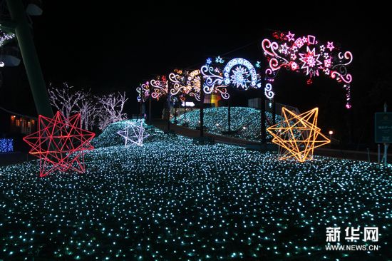 美轮美奂!探访日本关东区最大彩灯展(高清)