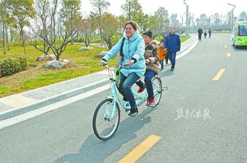 盐城市民在大丰西郊生态公园绿色骑行