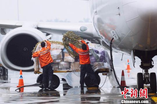 雷雨致穗深珠机场大面积航班延误穗取消逾250航班