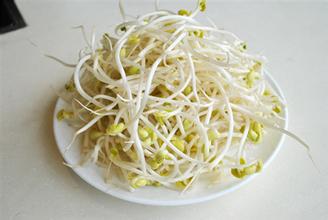 早春第一菜之黄豆芽: 一寸黄豆芽营养最给力