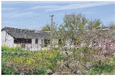 南通海门工业园区蓝天白云好春光